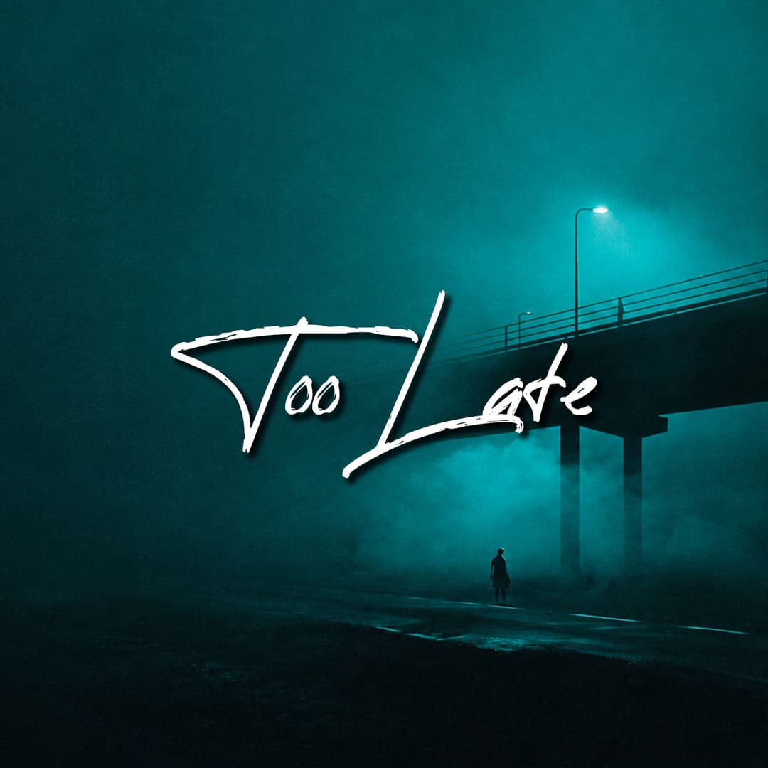 Too Late To Stay