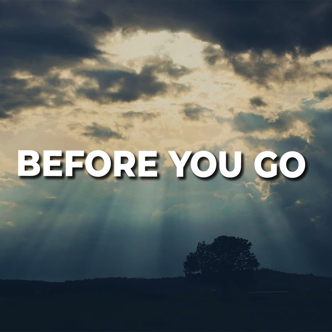 Before You Go
