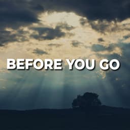 Before You Go