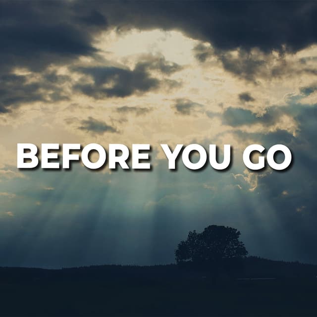 Before You Go