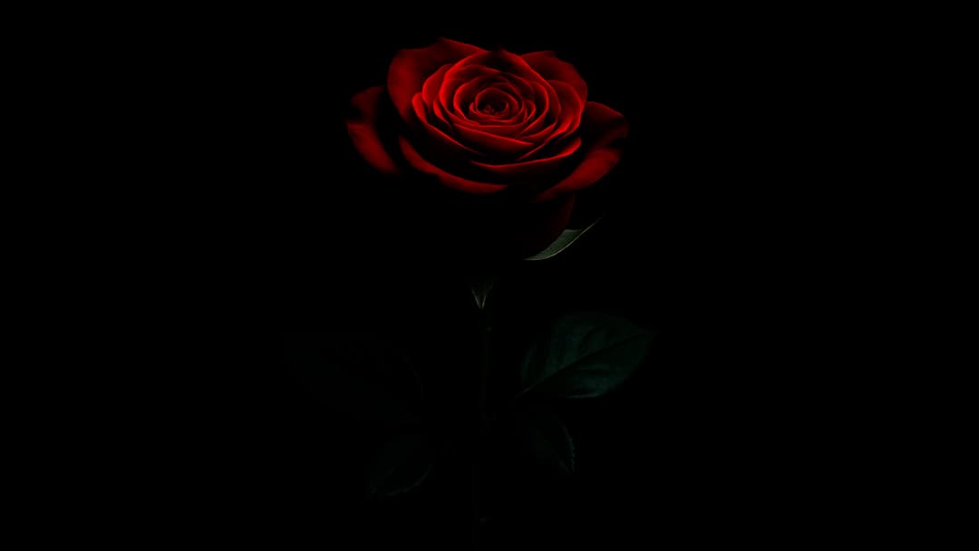 Feeling Alone