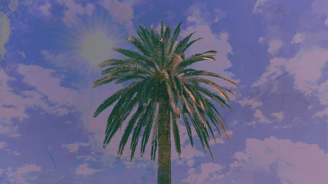 Palma