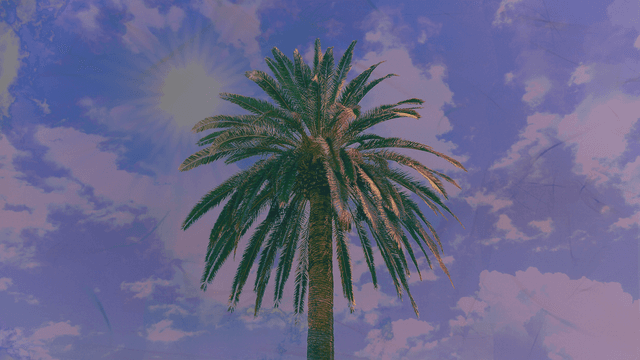 Palma