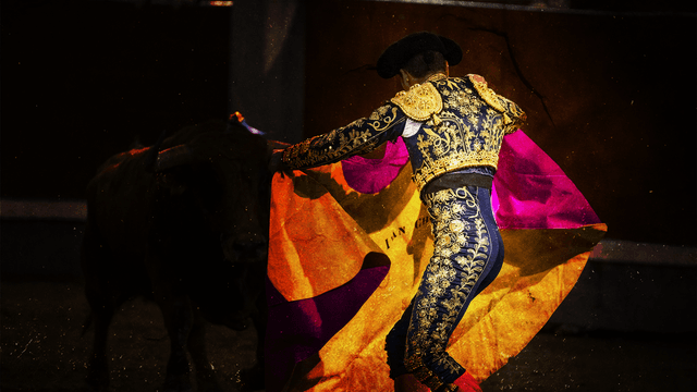 Torero