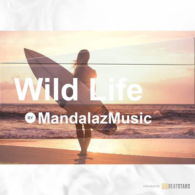 Wild Life