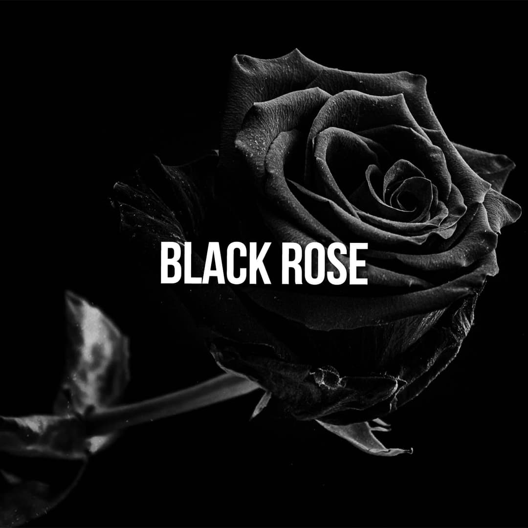 Black Rose