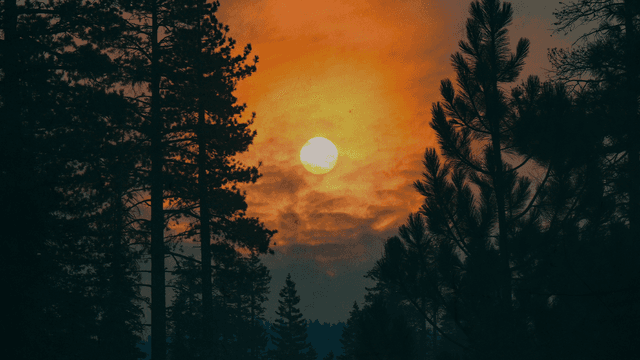 Sunrise