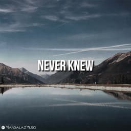 Never Knew