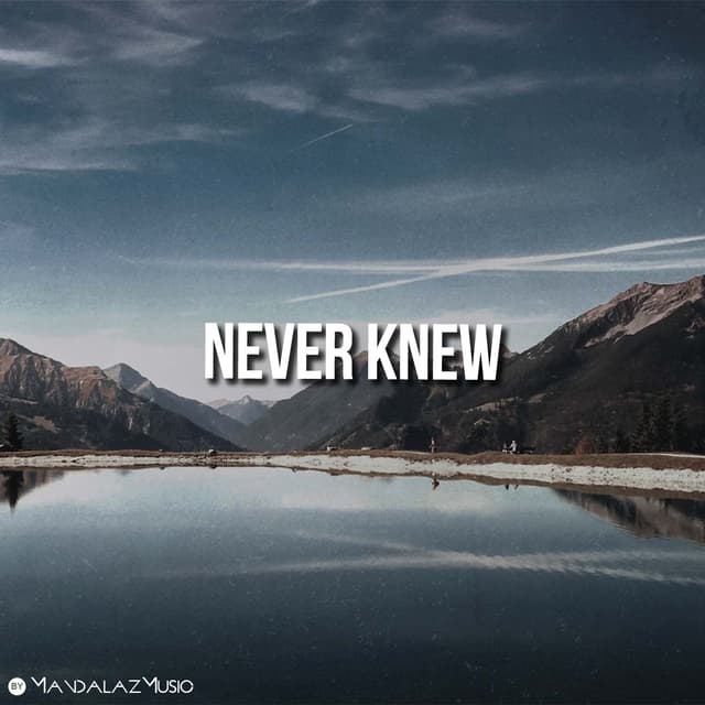 Never Knew
