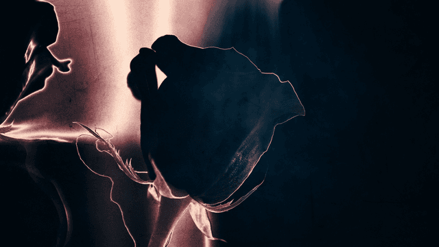 Heartache