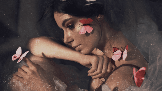 Butterflies