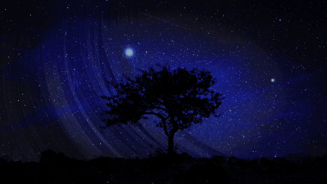 Starlight