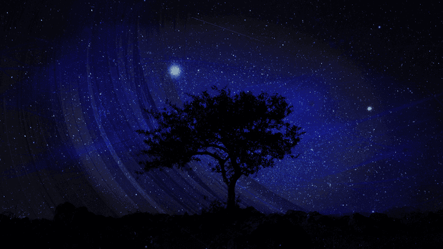 Starlight