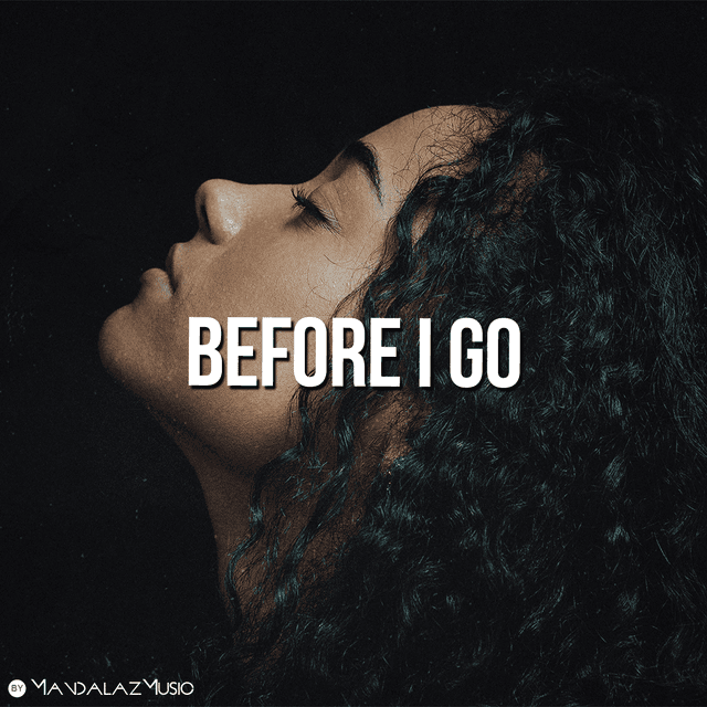 Before I Go