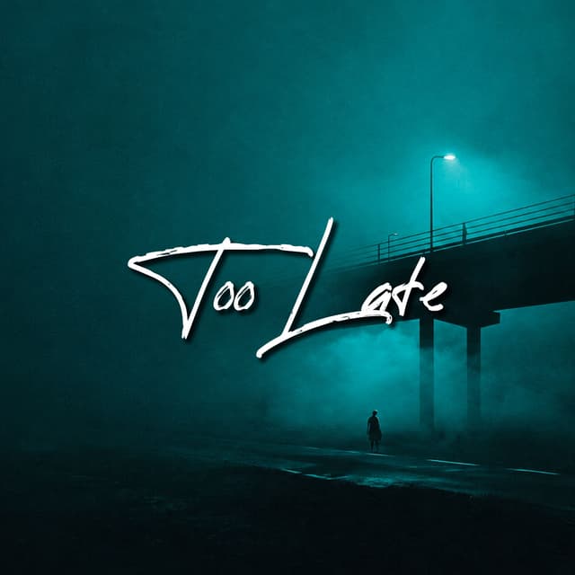Too Late To Stay