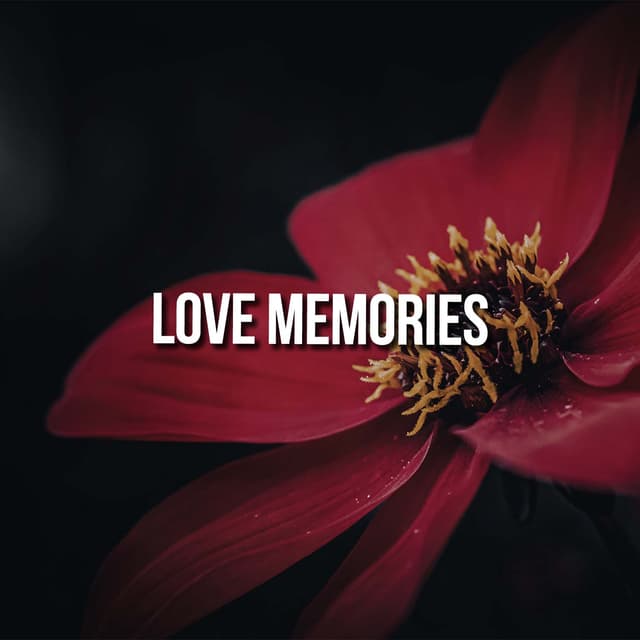Love Memories